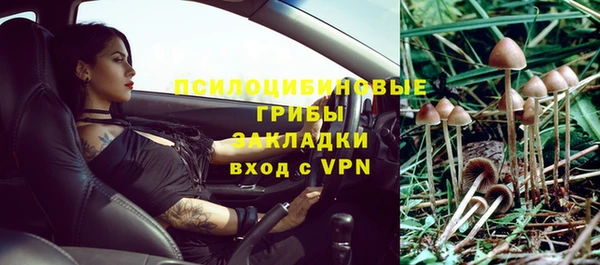 первитин Алексин