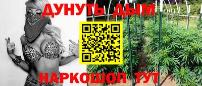 прущие грибы Балашиха