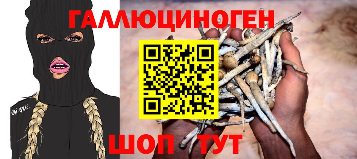 Галлюциногенные грибы Cubensis Большой Камень